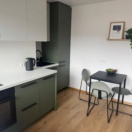 Newly Furnished With Balcony In Apartment