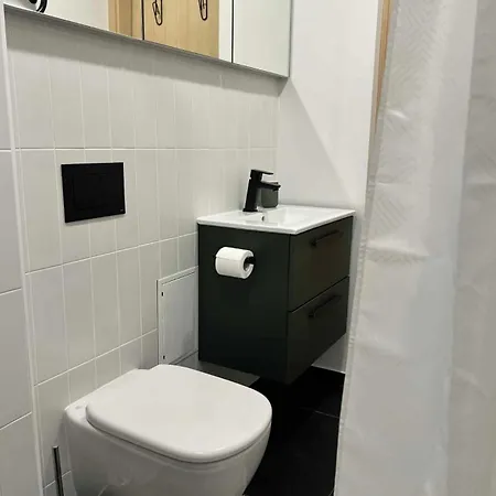 Apartment Newly Furnished With Balcony In