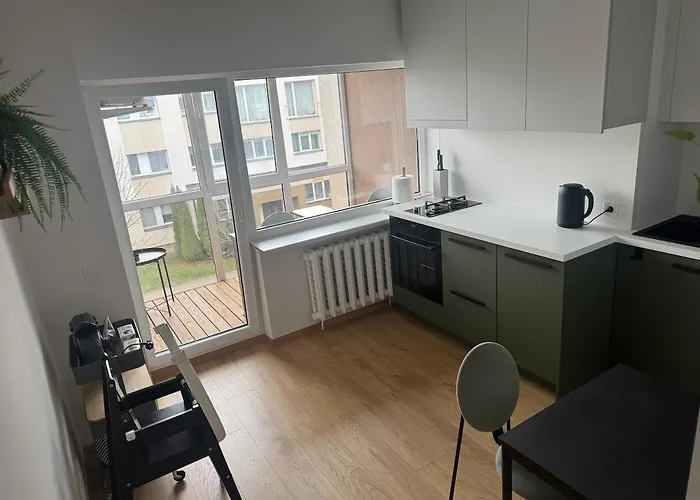 With Balcony In Lägenhet Druskininkai